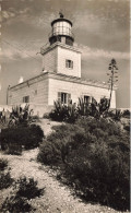 Ile De Porquerolles * Vue Sur Le Phare * Lighthouse - Porquerolles