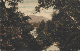 ROMANIA 1920 RAMNICU SARAT (BUZAU COUNTY), BRIDGE, FOREST, MOUNTAIN LANDSCAPE - Roumanie