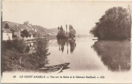 CPA Petit Andely  Chateau Gaillard - Autres & Non Classés