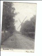 Moerbeke  Paysage  (windmolen)  1904 - Mörbeke-Waas