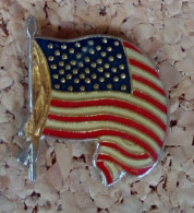 Pin's  Etats Unis Drapeau Americain - Città