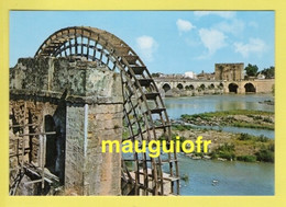 BÂTIMENTS ET ARCHITECTURE / MOULIN À EAU ET PONT ROMAIN À CORDOBA (ESPAGNE) - Water Mills