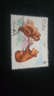 CUBA- 1980-90   5  C.     DAMGALI - Used Stamps