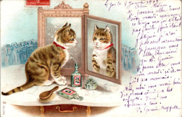Fantaisie Cpa Couleur Chat Cat Gatto Gato Parfum Profumo ... N°379 Cpa Couleur Voyagée En 1909 TB.Etat - Autres & Non Classés