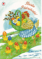 Postal Stationery - Cock - Chicken Carrying The Basket - Chicks - Eggs - Red Cross 1999 - Suomi Finland - Postage Paid - Postal Stationery