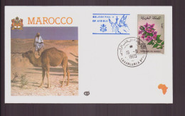 Maroc, Enveloppe Avec Cachet Commémoratif " SS Jean-Paul II En Afrique " Casablanca Le 19 Août 1985 - Morocco (1956-...)