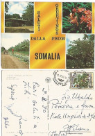 Somalia Dichrostachys Glomerata Tree S.2.30 Solo Franking Pcard 4 Views Of Bananas Farm Az.Agricola Banane 2feb1980 - Somalie