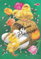 Postal Stationery - Chicks - Easter Eggs - Red Cross 1992 - Suomi Finland - Postage Paid - Lars Carlsson - Enteros Postales