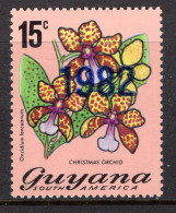 Guyana 1982 Date Overprint HM (SG 977) - Guyane (1966-...)