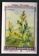 Nestlé - 117B - Plantes Aromatiques, Aromatic Plants - 8 - Armoise, Artemisia - Nestlé