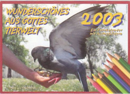 AK 211002 BIRD / VOGEL - Pájaros