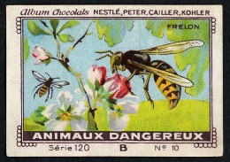 Nestlé - 120B - Animaux Dangereux, Dangerous Animals - 10 - Frelon - Nestlé