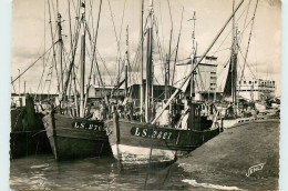 85* LES SABLES D OLONNE  Port  ( CPSM 10x15cm)                    MA54-0529 - Sables D'Olonne