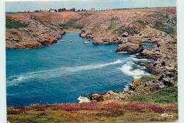 56* ILE DE GROIX   (CPM 10x15cm)                     MA55-0564 - Groix