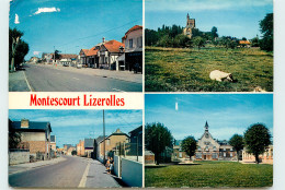 02* MONTESCOURT LIZEROLLES  CPM (10x15cm)   MA56-0056 - Autres & Non Classés