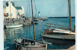 56* QUIBERON Port Haliguen   (CPSM10x15cm)                                           MA58-0851 - Ambrieres Les Vallees