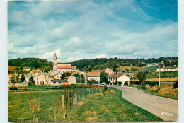 52* SAUCOURT  (CPM 10x15cm)                                           MA58-0645 - Autres & Non Classés