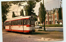 59* LILLE  Tram   (CPM 10x15cm)                                           MA58-1013 - Lille