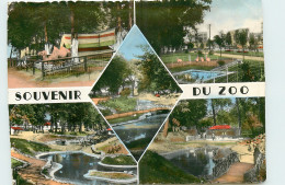 59* MAUBEUGE  Zoo   (CPSM10x15cm)                                            MA58-0993 - Maubeuge