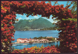 ITALIE ISOLA BELLA LAGO MAGGIORE - Altri & Non Classificati