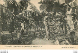 GUINEE FRANCAISE UN REGIME DE BANANES  F.N. - Guinée Française