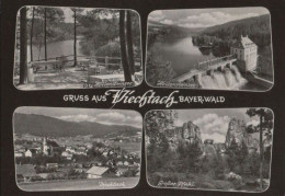 43599 - Viechtach - U.a. Grosser Pfahl - Ca. 1955 - Regen