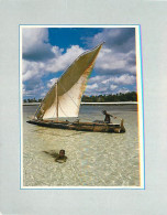 Tanzanie - Zanzibar - Zanzibar 2000 - Ngalawa At Kiwengwa - CPM - Voir Scans Recto-Verso - Tanzanía
