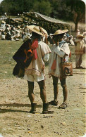 Mexique - Mexico - Chiapas - Trajes Trpicos De Zinacantan, Chiapas - Typical Indigenous Dress Fronn Zinacantan - CPSM Fo - México