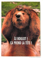 Animaux - Ours - Carte à Message Et Ou Humoristique - CPM - Voir Scans Recto-Verso - Beren