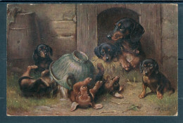 19024 Mère Teckel (dachshund) Dans Sa Niche Avec 5 Jeunes Chiot Qui S'amusent Avec Un Bol - Dogs