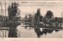 TOMAR - THOMAR - Margens Do Nabão (entre Açudes)(Ed. F. A. Martins   Nº 278) - PORTUGAL - Santarem