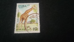 CUBA- 1980-90   10  C.     DAMGALI - Gebruikt