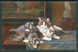 20575 Chats  - Mère Chatte Avec Trois Petits Chatons Couchés Sur Un Banc - Cats