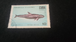 CUBA- 1980-90   10  C.     DAMGALI - Gebruikt