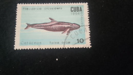 CUBA- 1980-90   10  C.     DAMGALI - Gebruikt