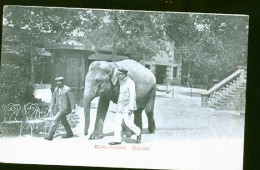 PARIS ELEPHANT - Parcs, Jardins