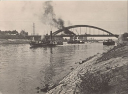 134779 - Magdeburg - Wilhelm-Pieck-Brücke - Magdeburg