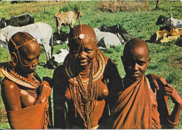 Masai Girls And Woman - Kenia
