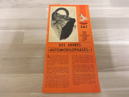 Reportage Uit Oud Tijdschrift 70s - Des Arbres "automobilophages" - Non Classés