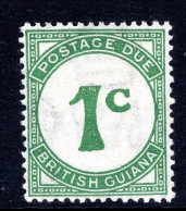 British Guiana 1940-55 Postage Due - Chalk-surfaced Paper - 1c Green HM (SG D1) - British Guiana (...-1966)