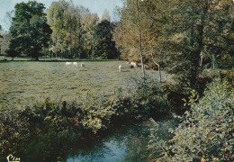 MOUILLERON-en-PAREDS. -  Bords Du Louing. Paysage Du Bocage Vendéen. Carte RARE - Mouilleron En Pareds