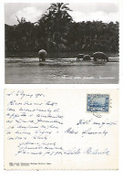 Somalia Fauna Ippopotami Hyppos - B/w Pcard 4apr1956 With Regular Issue C.55 Solo Franking To Italy - Somalie (AFIS)