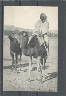 ALGÉRIE - CHAMELIER - - Mannen