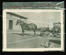 Orig.Foto 30er Jahre, Bahnhof ? Kiehnsee, Kühnsee, OT Von Angermünde In Brandenburg, Pferdekutsche - Angermuende