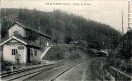 Les Sauvages Canton Tarare Entrée Du Tunnel Rhône 69170 Cpa Voyagée En 1908 En B.Etat - Other & Unclassified