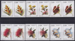 1993.191 CUBA MNH 1993 IMPERFORATED PROOF BOTANICAL GARDEN CIENFUEGOS FLOWER FLORES PAIR.  - Ongetande, Proeven & Plaatfouten