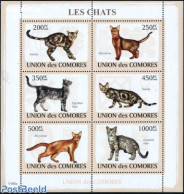 Comoros 2009 Cats 6v M/s, Mint NH, Nature - Cats - Comores (1975-...)