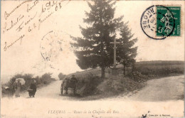 Fleurie Canton De Beaujeu Route De La Chapelle Des Bois Rhône 69820 Dos Non Divisé Cpa Voyagée En 1908 TB.Etat - Sonstige & Ohne Zuordnung