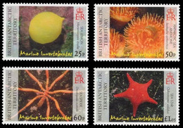 (095) Brit. Antarc. Territ. (BAT)  2007 / Fauna / Animals / Marine Life / Meerestiere  ** / Mnh  Michel 450-453 - Altri & Non Classificati