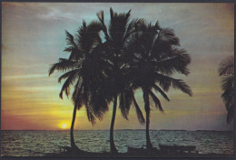 1974-EP-133 CUBA 1974 POSTAL STATIONERY M. GOMEZ. BIBIJAGUA BEACH PINES IS UNUSED.  - Other & Unclassified